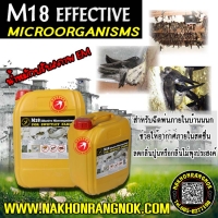 608-ฮอร์โมนนกนางแอ่น M18 Effective Microorganisms
